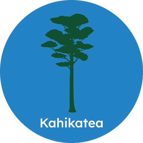Kahikatea