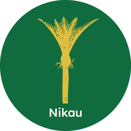 Nikau